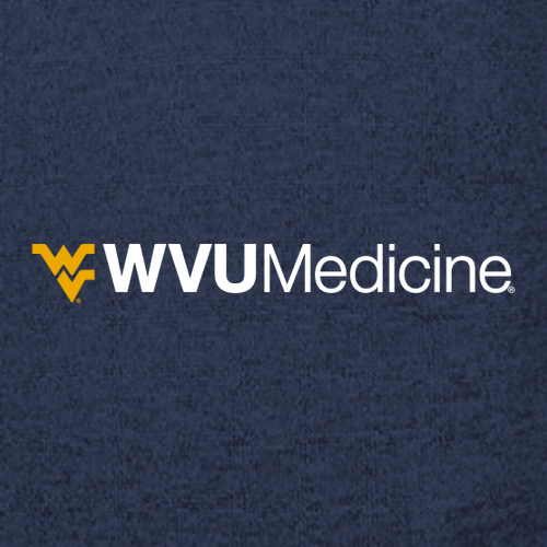 Charles River Womens Heathered Fleece Pullover -- Navy Heather