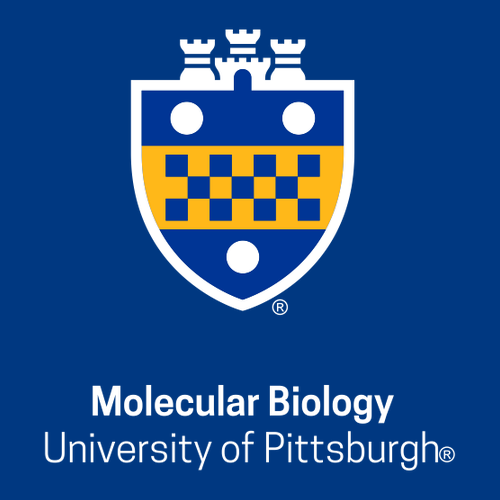 Molecular Biology Blend Hooded Sweatshirt -- Royal