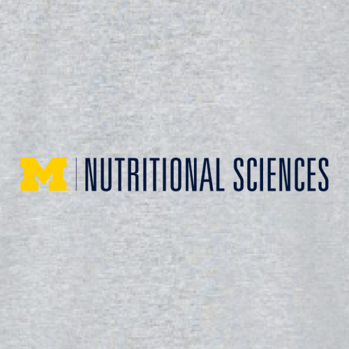 Gildan Heavy Blend Hooded Sweatshirt -- Sport Grey