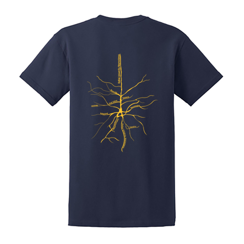 Gildan Ultra Cotton Basic T-Shirt -- Navy