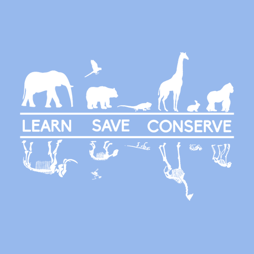 Gildan SoftStyle Fitted T-Shirt -- Carolina Blue