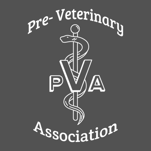 Gildan Heavy Cotton Longsleeve Basic T-Shirt -- Charcoal