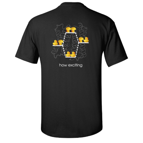 Gildan Ultra Cotton Basic T-Shirt -- Black