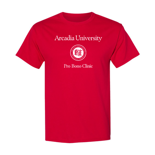 Hanes EcoSmart Adult Heavyweight 50/50 T-Shirt -- Deep Red