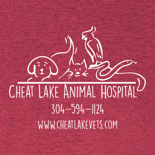 Bella+Canvas Unisex Heather Cvc Long Sleeve Tee- Heathers -- Heather Cardinal