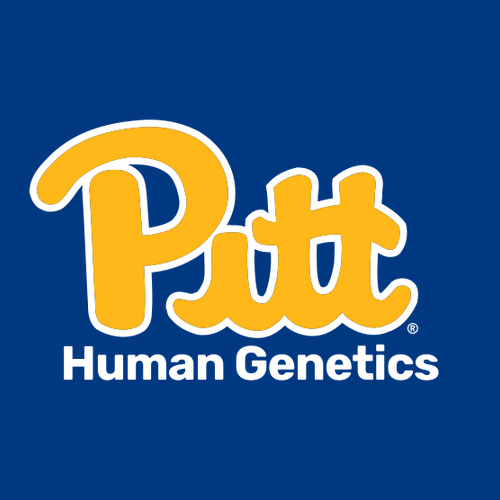 Gildan Heavy Blend Hooded Sweatshirt -- Royal