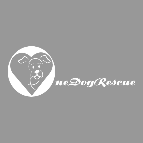 District Made Mens Perfect Tri Raglan -- Grey Frost / Royal Frost