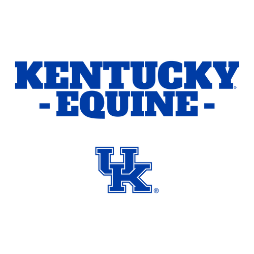 Comfort Colors Ringspun Long Sleeve Tee -- White