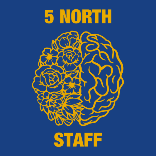 Gildan Softstyle Longsleeve T Shirt -- Royal