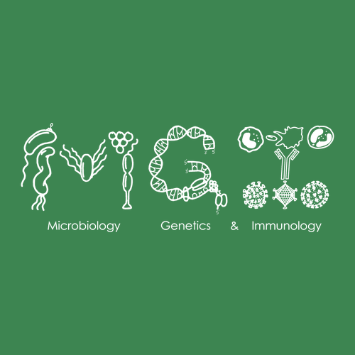 Gildan Heavy Blend Hooded Sweatshirt -- Irish Green