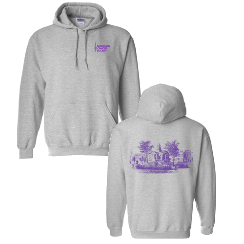 Gildan Heavy Blend Hooded Sweatshirt -- Sport Grey