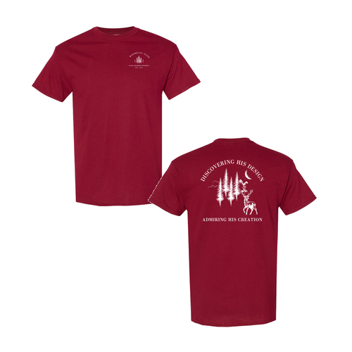 Cotton Basic T-Shirt Garnet