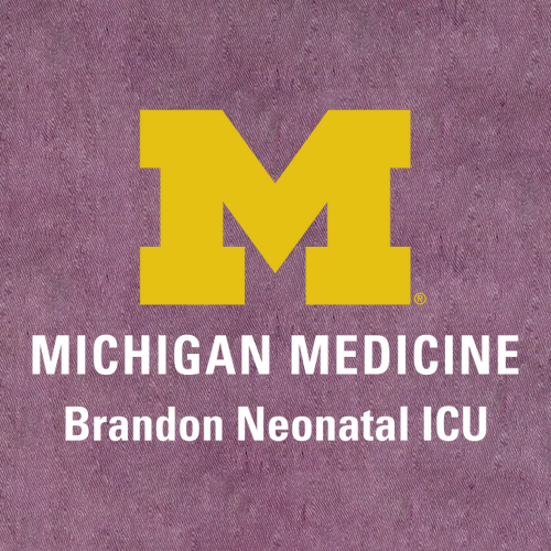 Ladies Port Authority Accord Stretch Fleece Full-Zip -- Wine