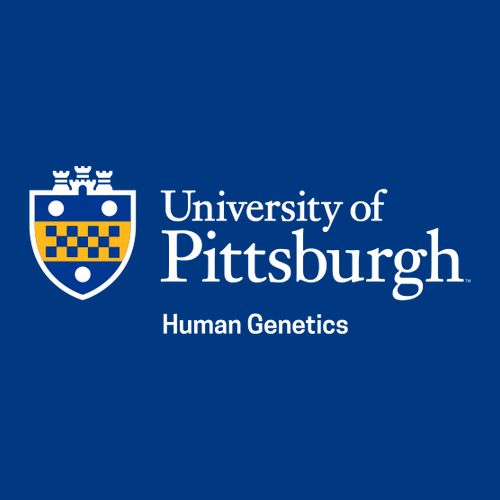 Gildan Heavy Cotton Longsleeve Basic T-Shirt -- Royal