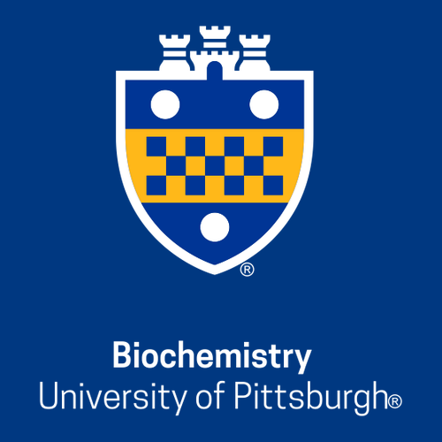 Biochemistry Hooded Sweatshirt -- Royal