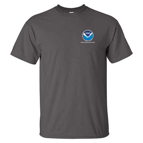 Gildan Ultra Cotton Basic T-Shirt -- Charcoal