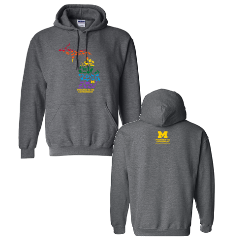 Gildan Heavy Blend Hooded Sweatshirt -- Dark Heather