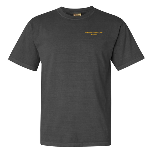 Comfort Colors Ringspun Garment Dyed T Shirt -- Pepper