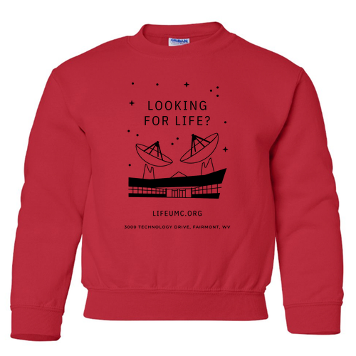 Gildan Heavy Blend Youth Crew Neck Sweatshirt -- Red