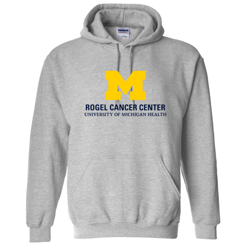 Men/Unisex Gildan Heavy Blend Hooded Sweatshirt -- Sport Grey