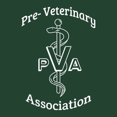 Gildan Heavy Blend Hooded Sweatshirt -- Forest Green