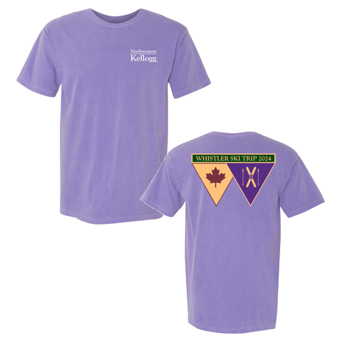 Comfort Colors Ringspun Garment Dyed T Shirt -- Violet