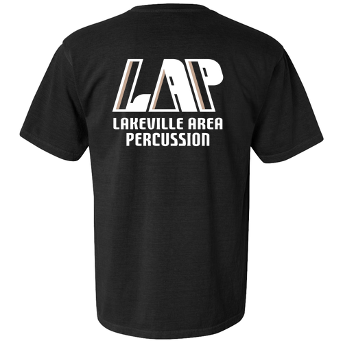 Comfort Colors Ringspun Garment Dyed T Shirt -- Black