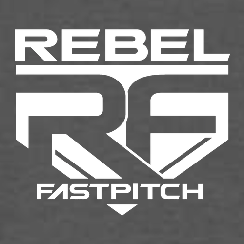 District Made Ladies Perfect Weight V-Neck Tee -- Charcoal