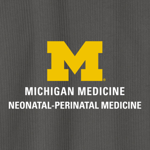 Ladies Eddie Bauer Fleece Vest -- Grey Steel