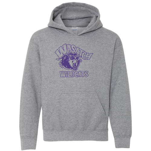 Gildan Heavy Blend Youth Hooded Sweatshirt -- Graphite Heather