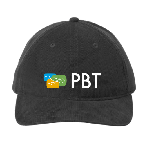 PBT -- Port Authority Light Corduroy Dad Cap