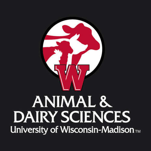 CHARLES RIVER WOMEN'S SOFT SHELL JACKET -- Black / Vapor Grey