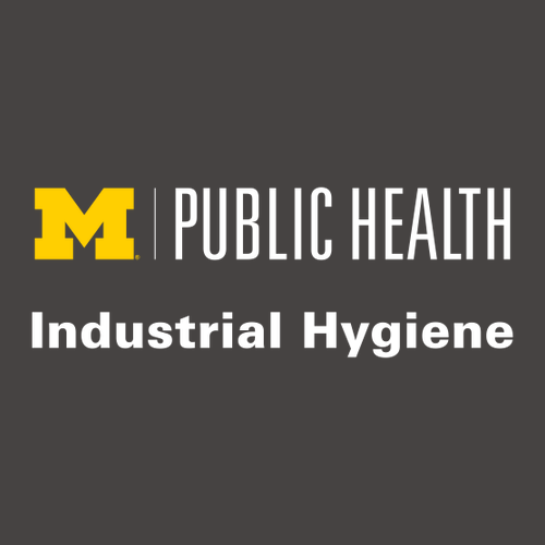 Ladies Nike Golf Dri-Fit Legacy Polo -- Dark Grey