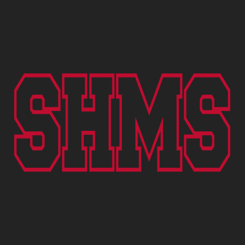 Gildan Heavy Cotton Longsleeve Basic T-Shirt -- Black