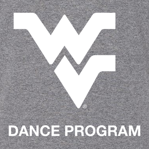 Gildan SoftStyle Fitted T-Shirt -- Graphite Heather