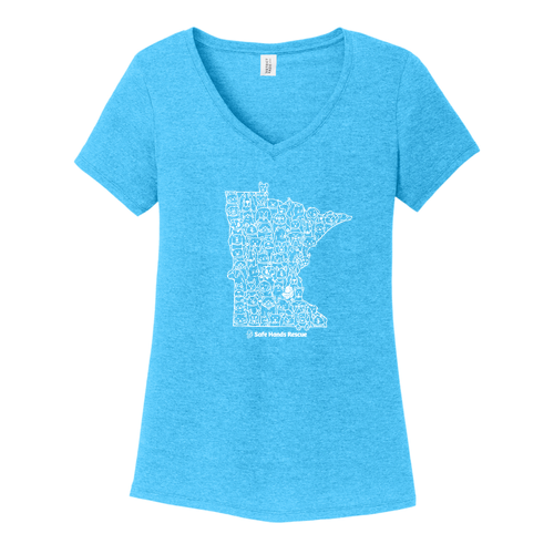 District Made Ladies Perfect Tri V-Neck Tee Turquoise Frost: Novelty Design