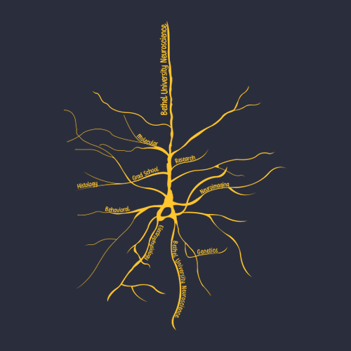 Gildan Ultra Cotton Basic T-Shirt -- Navy