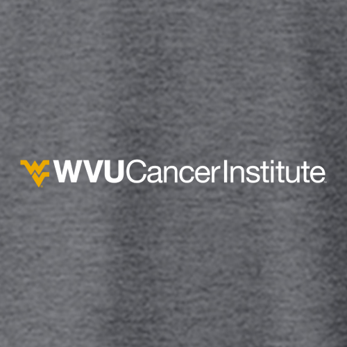 Gildan SoftStyle Fitted T-Shirt -- Dark Heather