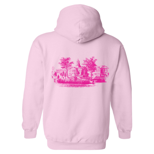 Gildan Heavy Blend Hooded Sweatshirt -- Light Pink