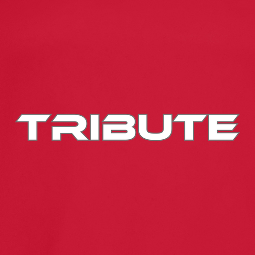 Gildan Heavy Cotton Basic Youth T-Shirt -- Red