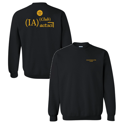 Gildan Heavy Blend Crew Neck Sweatshirt -- Black