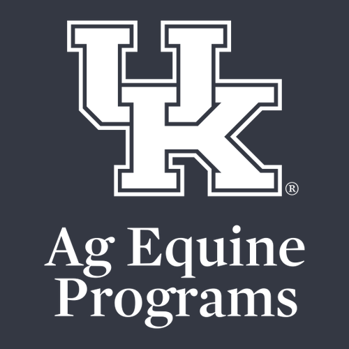 Charles River Women's Logan Jacket -- Graphite Navy