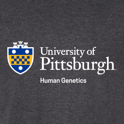 Gildan Softstyle CVC T-Shirt Pitch Black Mist