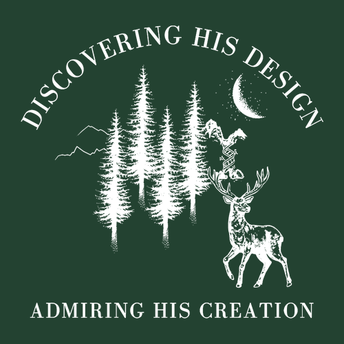 Cotton Basic T-Shirt Forest Green