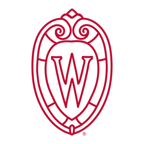 Gildan Heavy Cotton Longsleeve Basic T-Shirt -- White