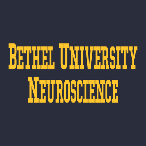 Gildan Ultra Cotton Basic T-Shirt -- Navy