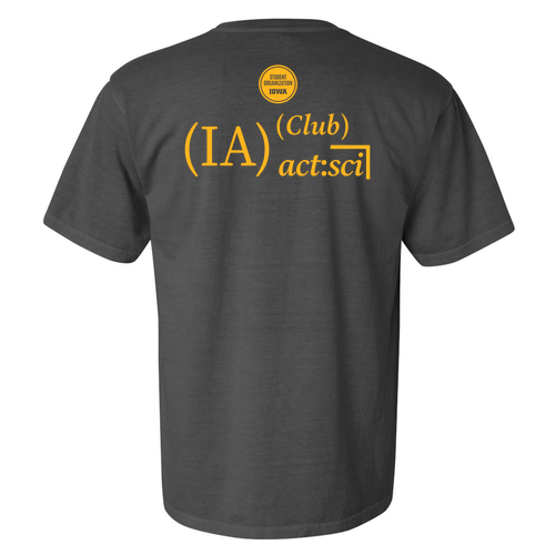 Comfort Colors Ringspun Garment Dyed T Shirt -- Pepper