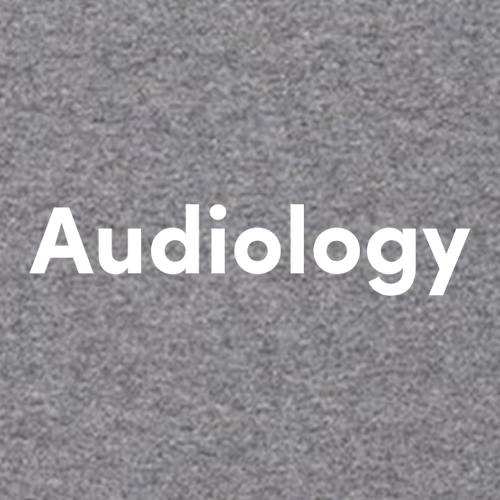 Gildan Heavy Blend Hooded Sweatshirt -- Graphite Heather