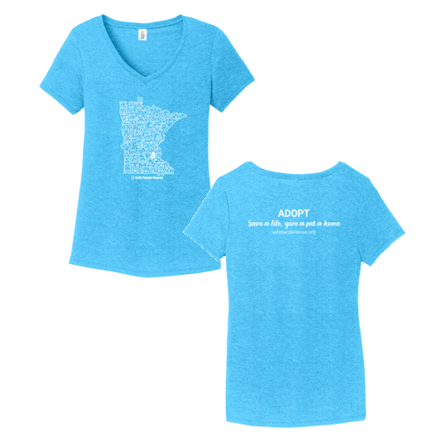 District Made Ladies Perfect Tri V-Neck Tee Turquoise Frost: Novelty Design