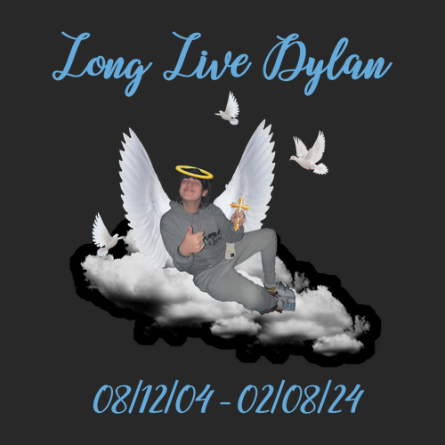 Gildan SoftStyle Fitted T-Shirt -- Black